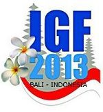 Webinar digest: Global Internet politics after IGF 2013