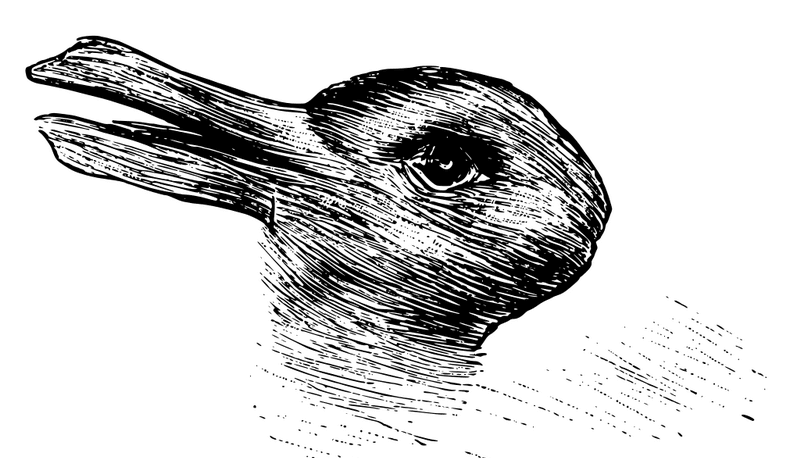 Rabbit–duck illusion